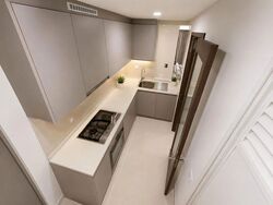 The Visionaire (D27), Condominium #618290461
